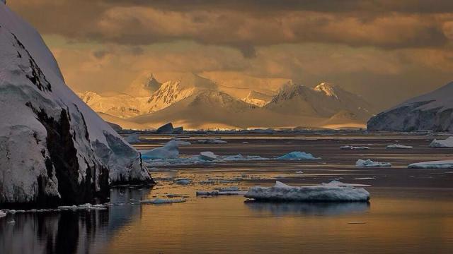 10320499_844022875625561_3777291532298942175_n