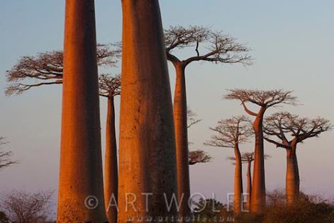 10406861_10203905325901838_6835282151171581735_n