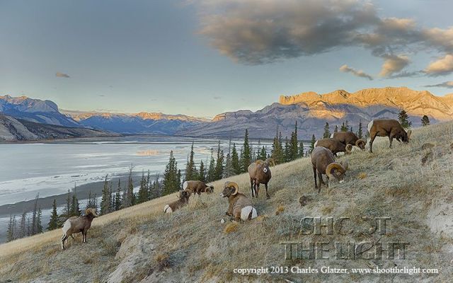 1379874_709041899124204_561528665_n