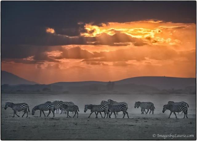 1505340_10201871963502672_3417470854583481033_n