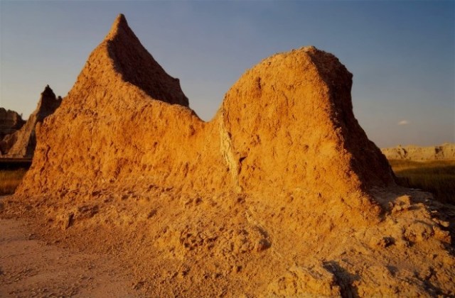 23eSlidesButterfly 078