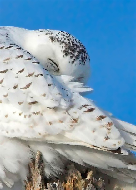 5Copy of DSC_1274-02b