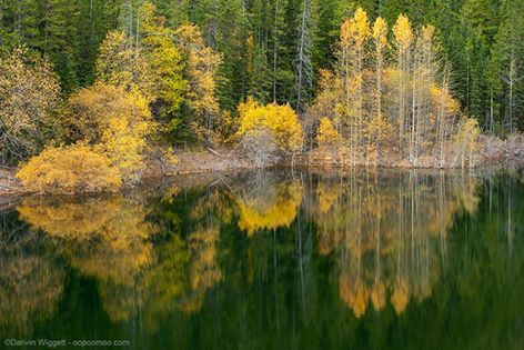 10409478_10203076162799069_8759101166853300699_n