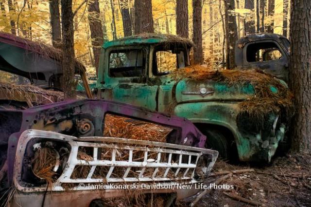 10491228_803552616346207_2537698132085705107_n