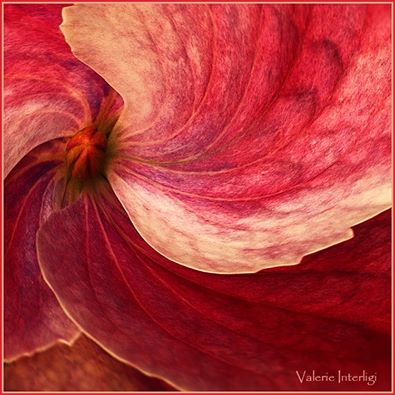 10308216_10202442518324333_1151297988456461432_n