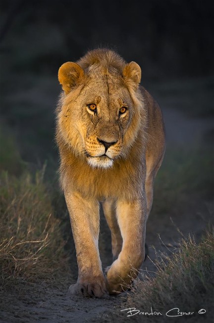 10365975_807090939301565_241914599381082166_n