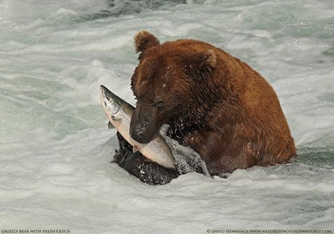 10420040_10203760756795880_1869628238881038305_n