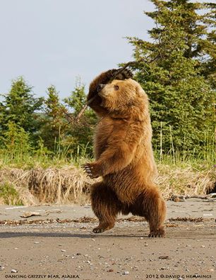 10530904_10203754733245295_1846311257703738970_n