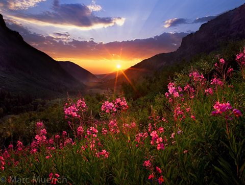 10628310_10202933146874348_3443494016994048905_n