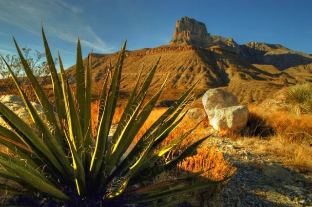 Copy of Copy of DSC_0144 copyAnd2more