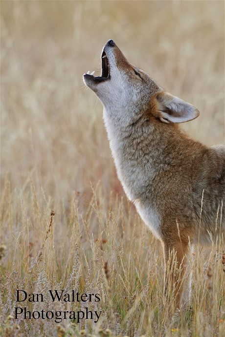 10629589_10203170695123498_5489602514521987079_n