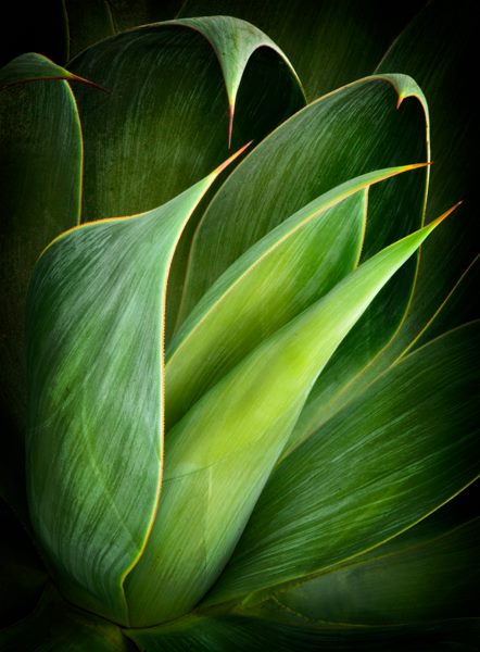 10635704_10152404422899296_3052891264305240938_n