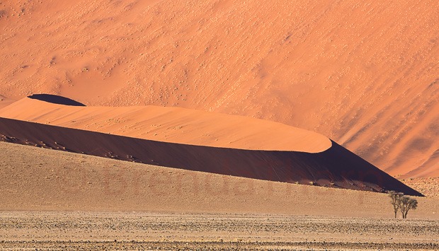 10696349_10204493752525017_7964174874713530235_n