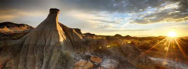 1556265_779632325392905_4944370345683525400_o