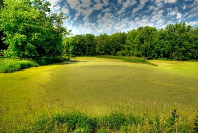 2ndDSC2_6878_3_6878__6878