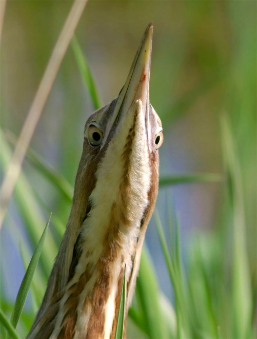 5571706662_ca650ae235_b