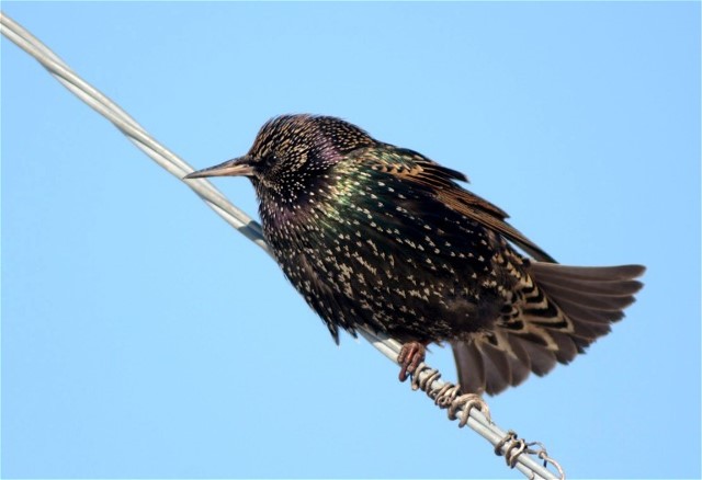 Copy of Copy of DSC_5669