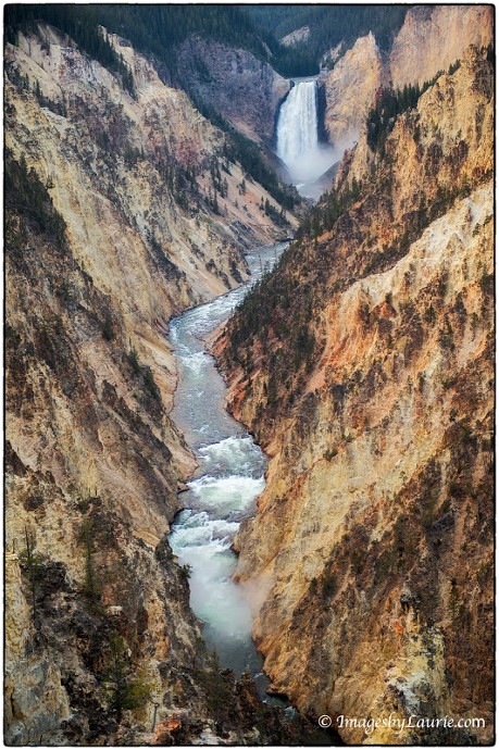 Oh What a View Â© Laurie Rubin_LAR8837