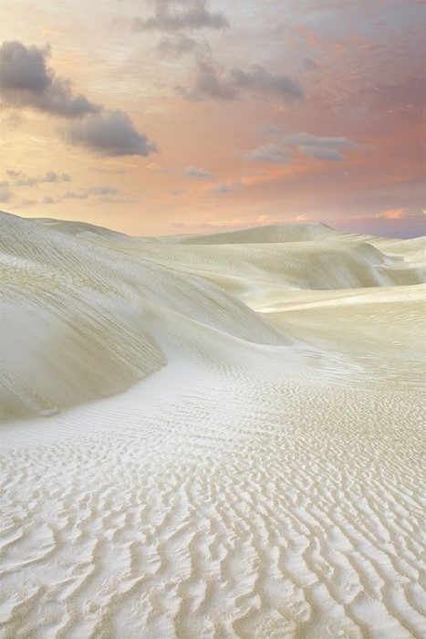 Sand Dunes, Cervantes, Washington