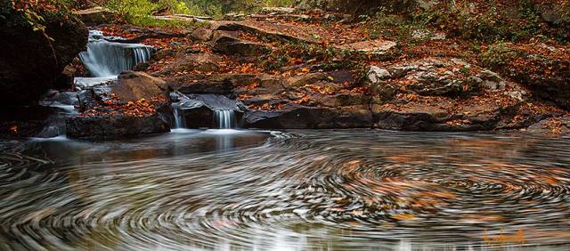 10172659_10202803086291876_7937346963924829177_n