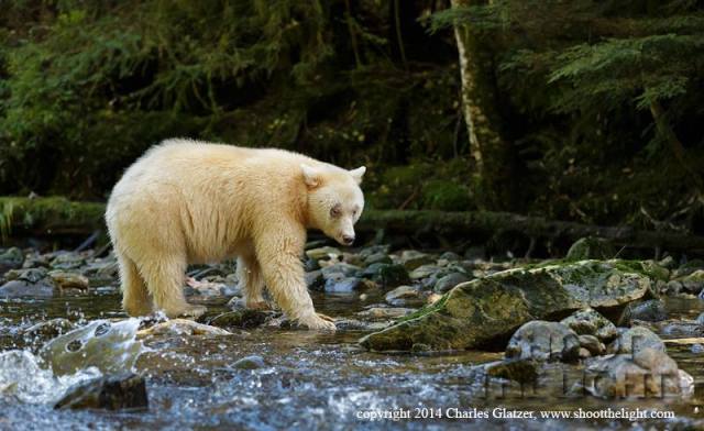 10174799_935451516483240_2299721910495208426_n