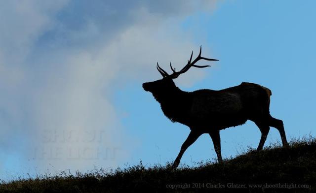 10408872_937664102928648_619786682371172889_n