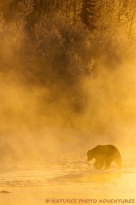 997088_10204397359790557_7312566792954833779_n