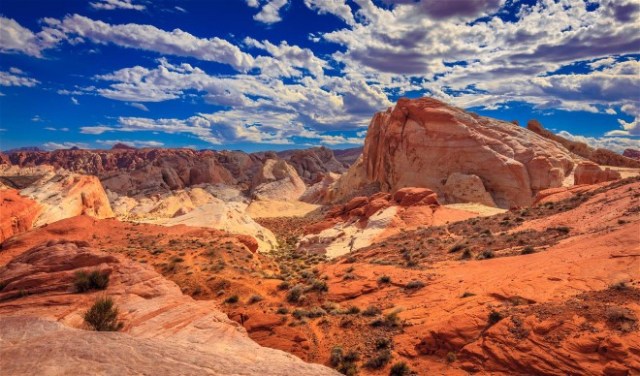 G Valley of Fire Nevada, Alan Shapiro