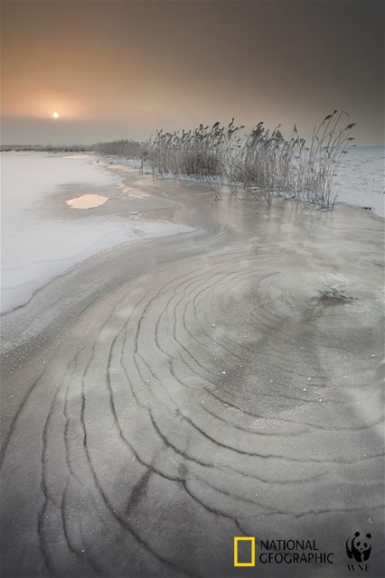 Marcel van Balkom Nat Geo award