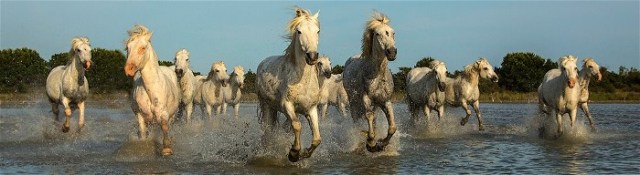 Rick Sammon Provence France