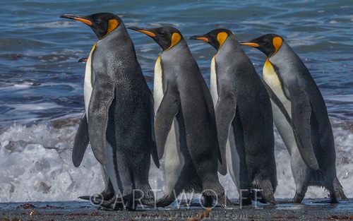 10885600_10205628342216169_7650324029070837583_n