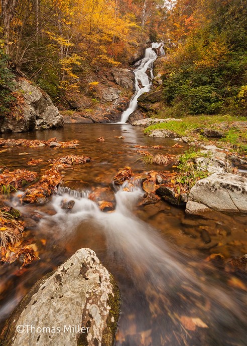 Thomas-Miller Spivey Falls, Tennessee