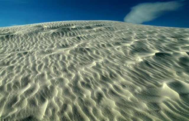 35Copy of DSC_0220blog