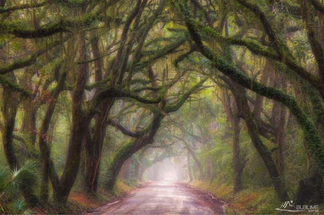 4Christian Rogers Botany Bay Plantation, Edisto Island, S.C.