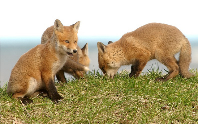 6132995630_1856535d00_z