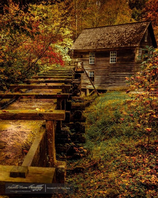 9Robert M. Young Mingus Mill