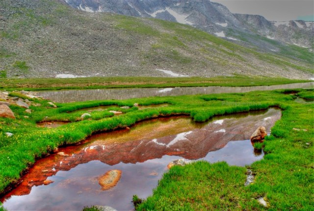 10Copy of RMNPMarmMtEvans 188And2more