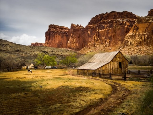 3Horse-and-Barn, CA Keith Cuddeback