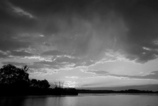 Copy of 10Bong 727 009b