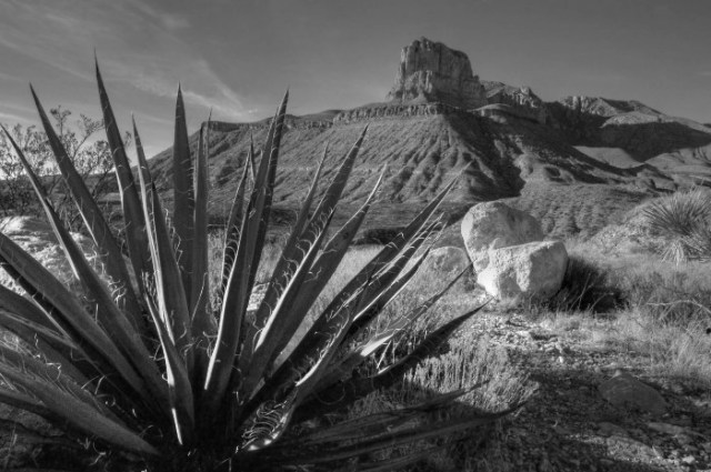 Copy of Copy of Copy of DSC_0144 copyAnd2more