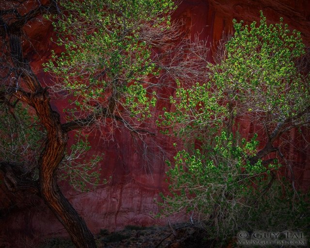 10628359_10153270727599708_2659542364408900737_n