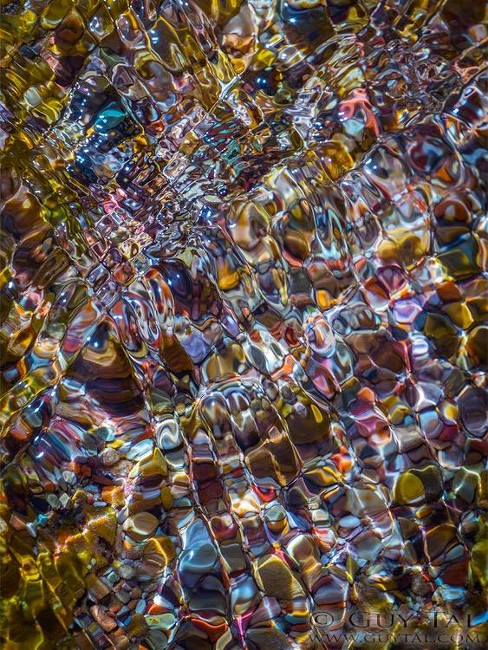 11110805_10153265514579708_6905295726302107857_n