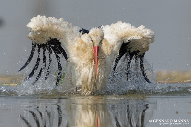 17100414718_fa20346d71_b