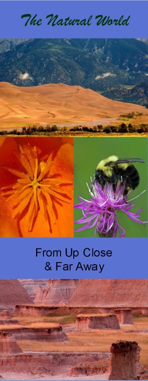 Copy 3of Copy2 of HWed 064