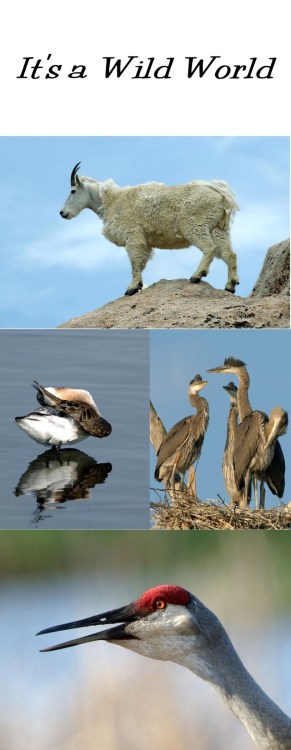 Copy 4of Copy2 of HWed 064