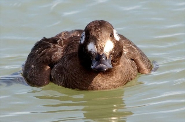 21aCopy of 20DSC_8447