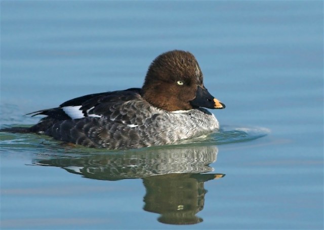 30dCopy of DSC_9865-01xxx