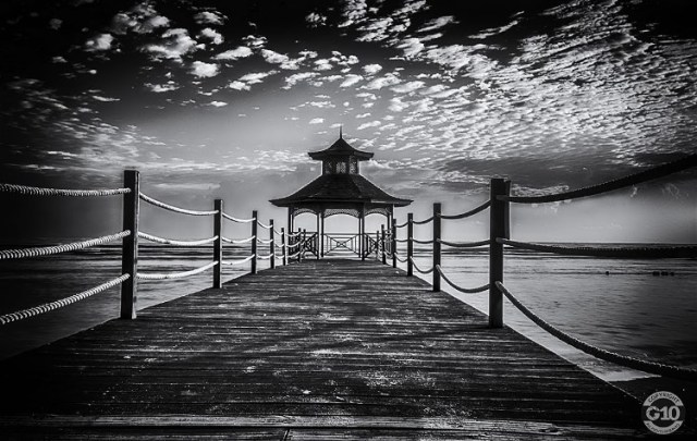 6IMG_5827_bwG 10 Photography