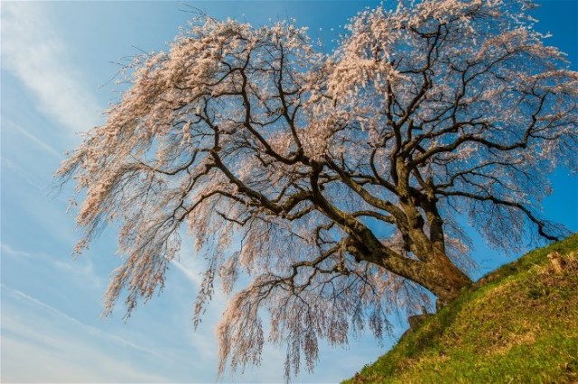 7Okkazuma Japan Takashi Aoyama