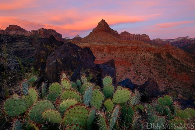Kolob-Terrace-sunset,-Zion-National-Park,-Utah, Ian Plant